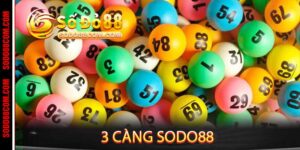 3 càng sodo88