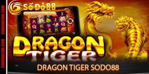 DRAGON TIGER SODO88