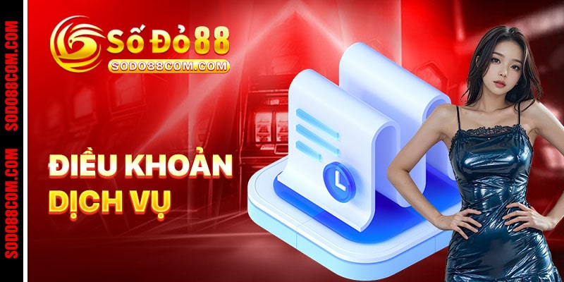 Điều Khoản Dịch Vụ